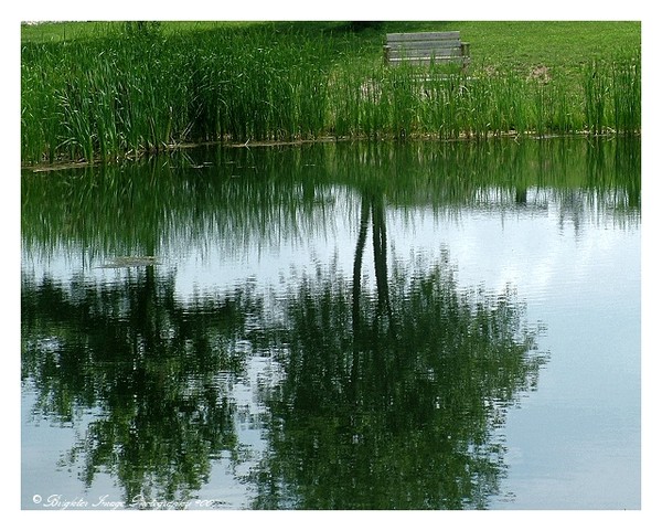 Reflections