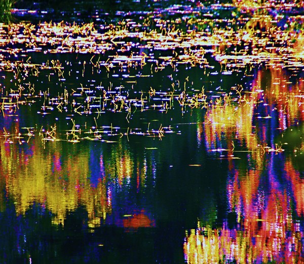 night lake