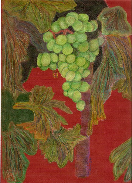 Grapes