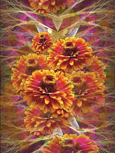 Fall Flowers