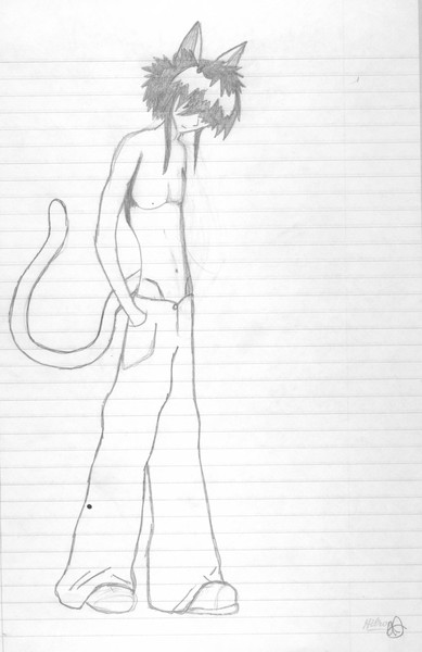 Neko Anime