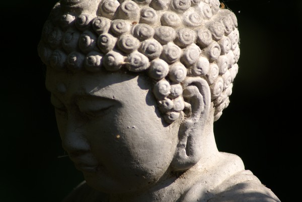 Still Buddah
