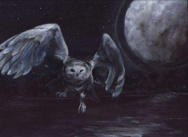 Night Owl
