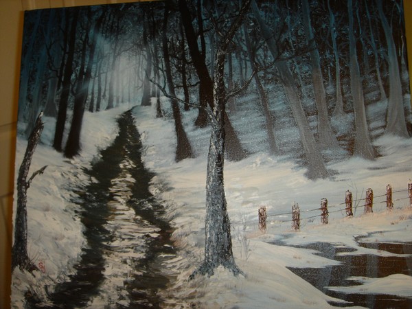 snowbound deep woods