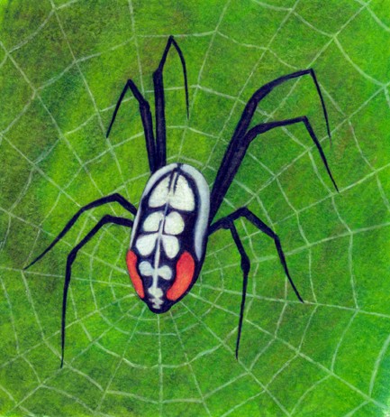 Spider