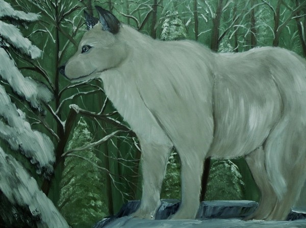 Old Black Tip Watches Over His Domain