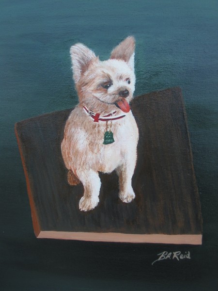 Pooch