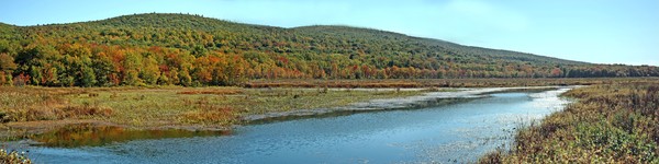 Basha Kill Wetland panorama