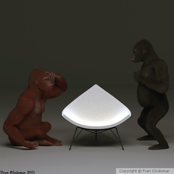 2 Gorilla And A Chair