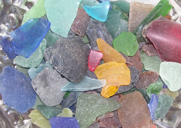 Sea Treasures