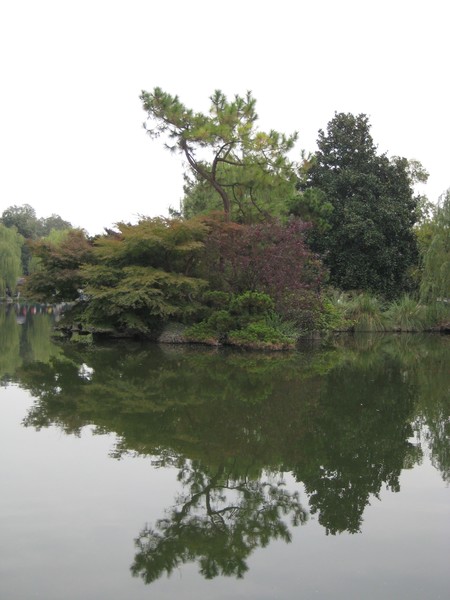 Reflections in the water