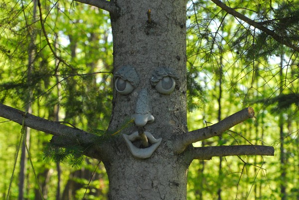 Clark's Tree Face
