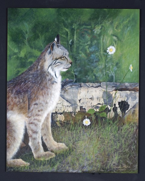 Mama Lynx