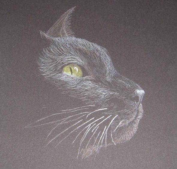 Black Cat