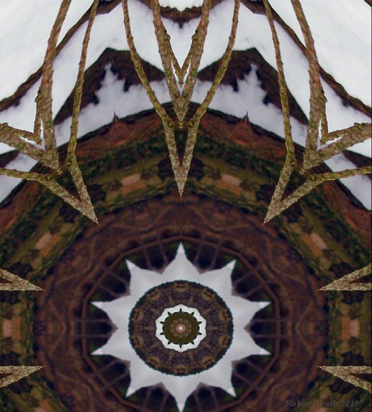 A Closer Image