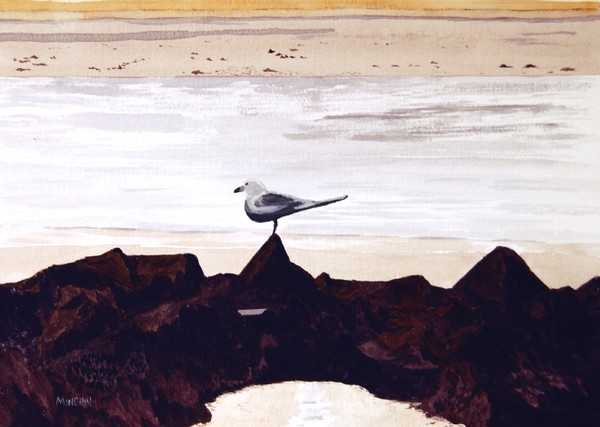 Gull