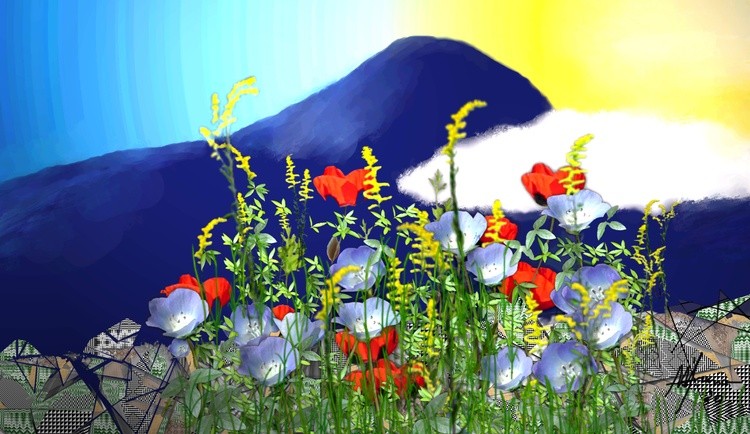 LANDSCAPE
