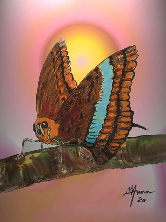 BUTTERFLY AT REST