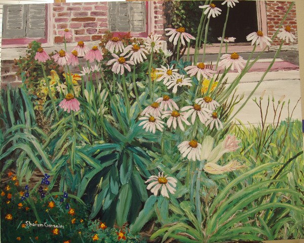Daisies Fort Smith Art Center #2