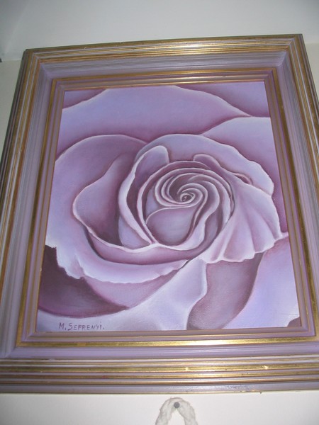 unusual coloured rose is sold!