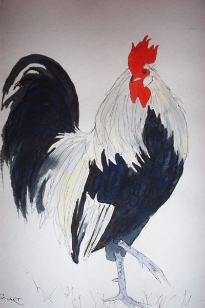 Fine Feathers