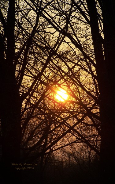 Betwixt and Between