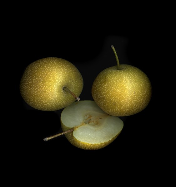 Asian Pears