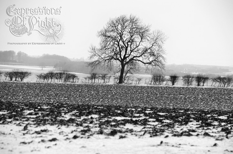 ExpoLight-The-Lincolnshire-Wolds-Winter-18-03-2018-0010 (SP)