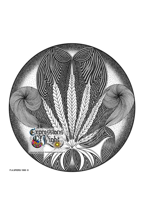 ExpoLight-Graphic-Arts-Cannabis-Orb-1990-0001 (Pen-&-Ink-Mono-SP)