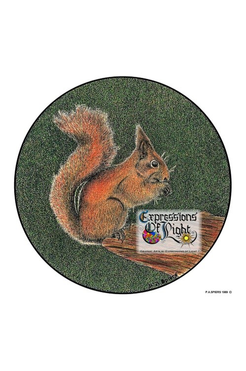ExpoLight-Graphic-Arts-Red-Squirrel-1989-0001 (Pen-&-Ink-Coloured-SP)