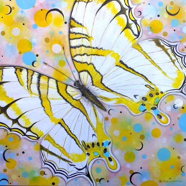 Cyrestis Butterfly Upon Crescents