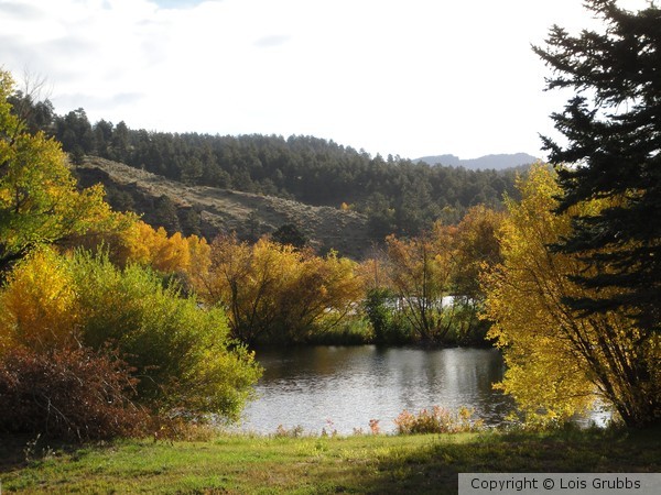 Fall Foilage Sept 2011 My camera 076