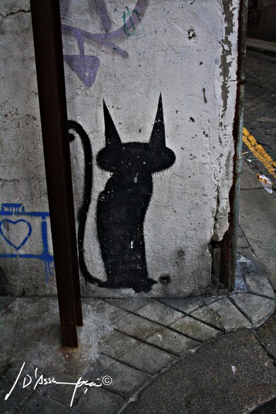cat