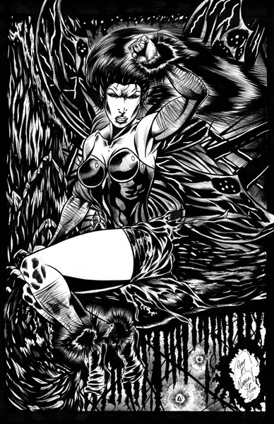 Dark Fairy Finished Commission