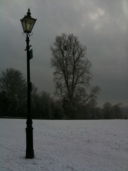 Western woods and lantern waste