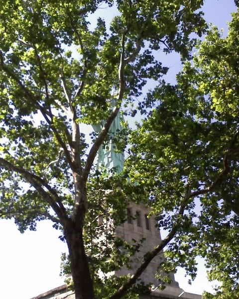 Statue Of Liberaty (2)