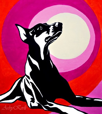 Dobie Pop