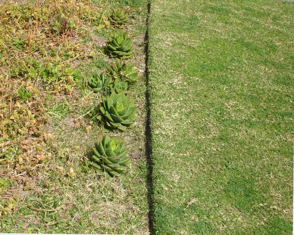turf_13