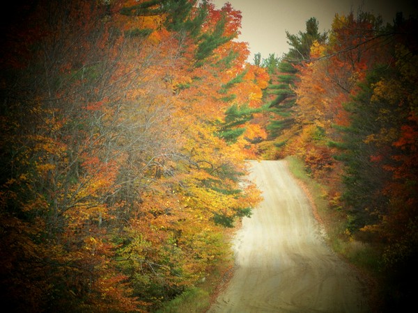 Long Way Home