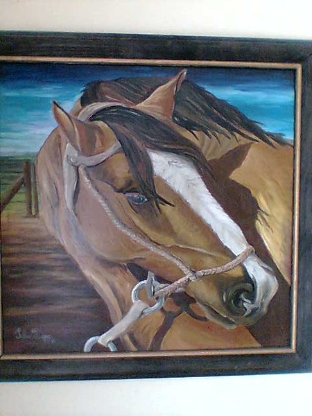 caballo 20