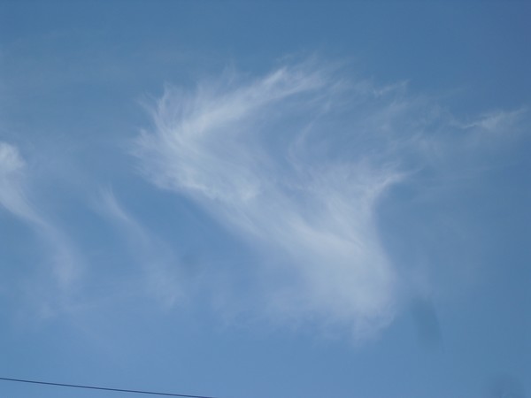 Wolf Clouds