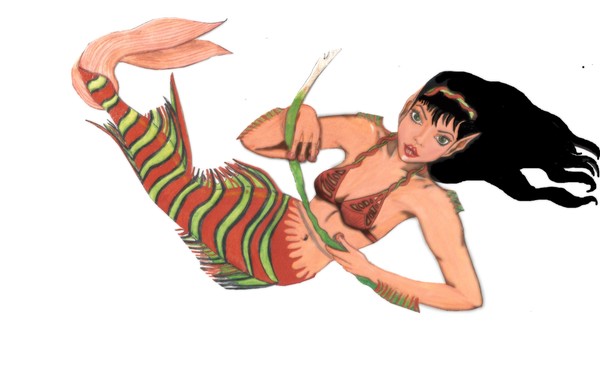 mairmaid