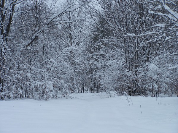 Living in a SnowGlobe