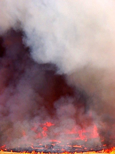 Field Burn Series - # 7