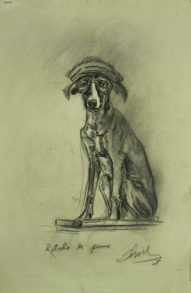 Cuban dog's portrait