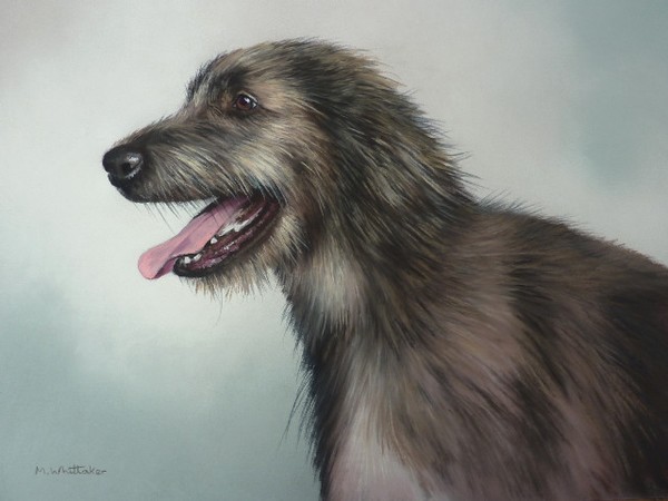 IRISH WOLFHOUND PAINTING