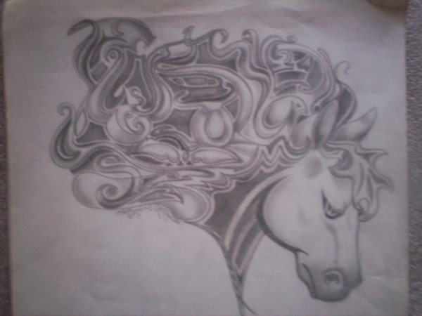 wild horse