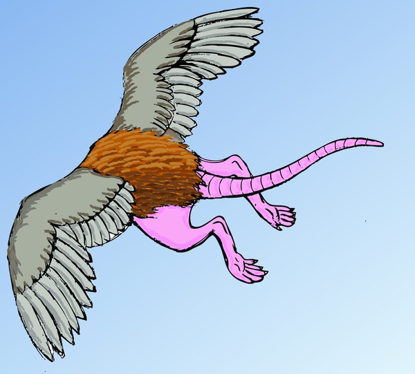 Flying RA