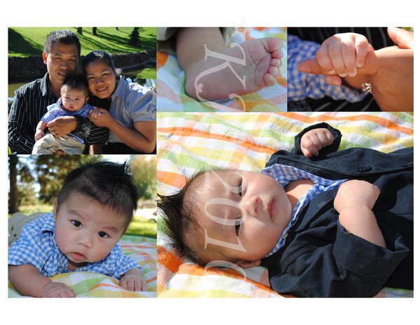 Kingston-3 months old