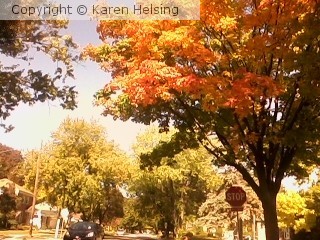 Autumn colors 2